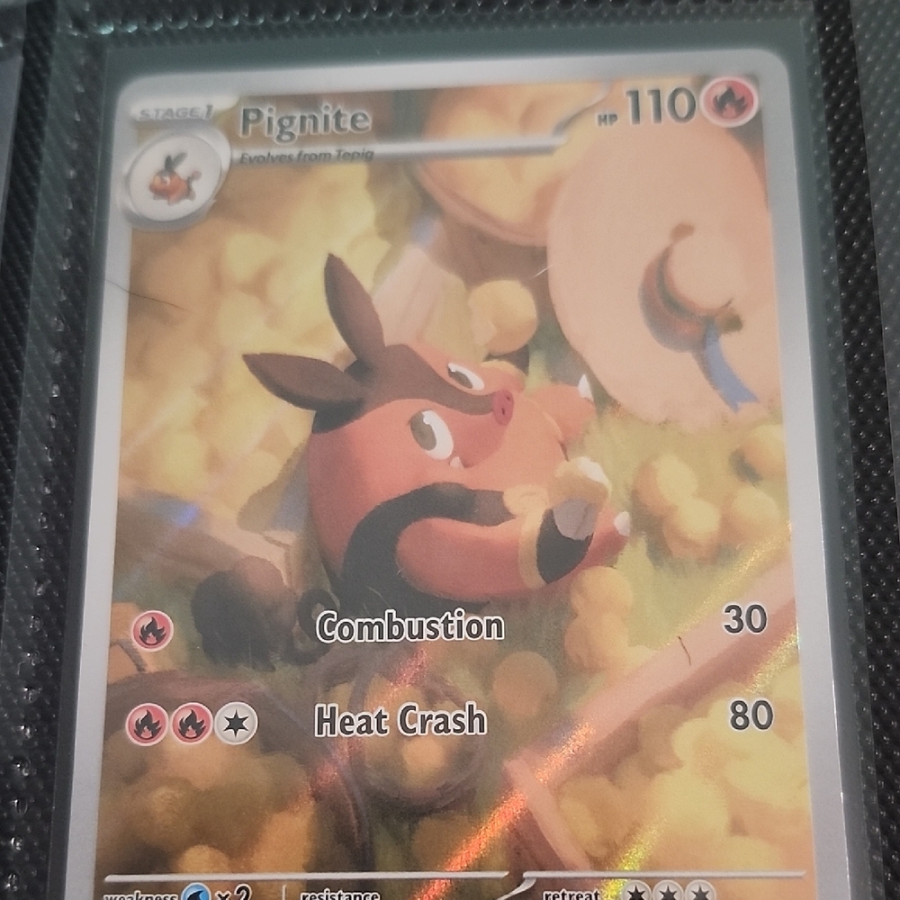 Pignite Trading Card - Multicolor